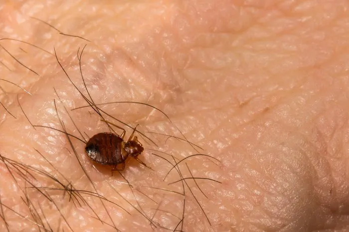 Tipp City Pest Solutions Picture 6