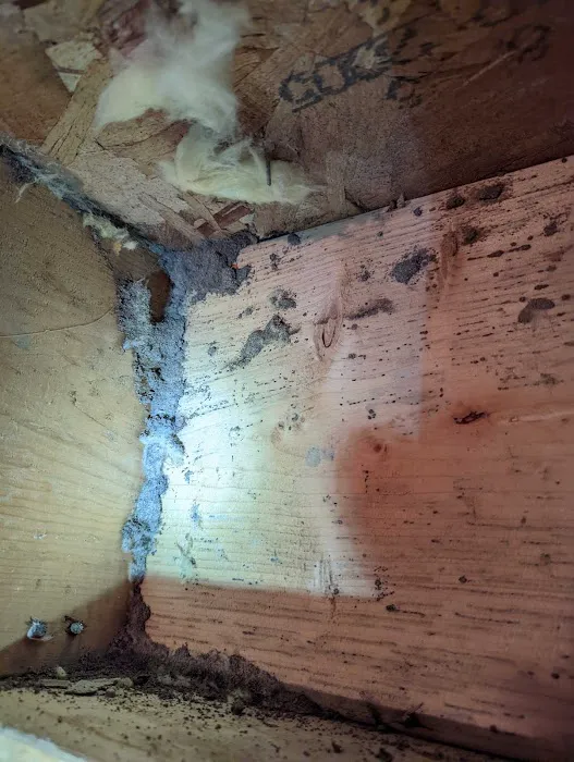 Tipp City Pest Solutions Picture 7