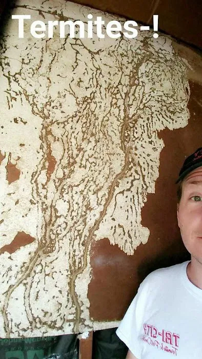 Tri-City Termite and Pest Control Picture 8