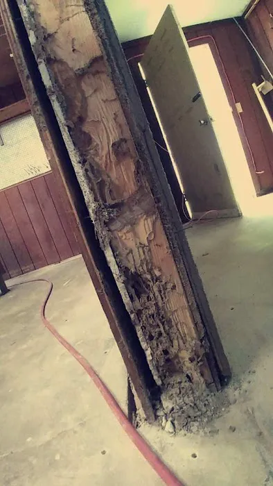 Tri-City Termite and Pest Control Picture 4
