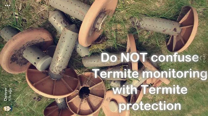 Tri-City Termite and Pest Control Picture 9