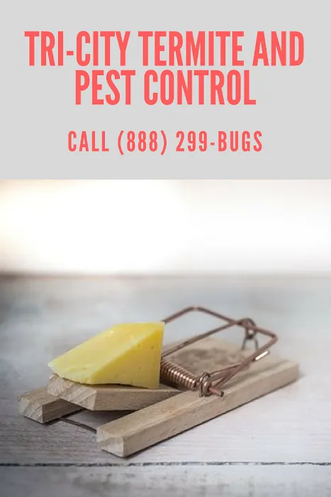 Tri-City Termite and Pest Control Picture 6