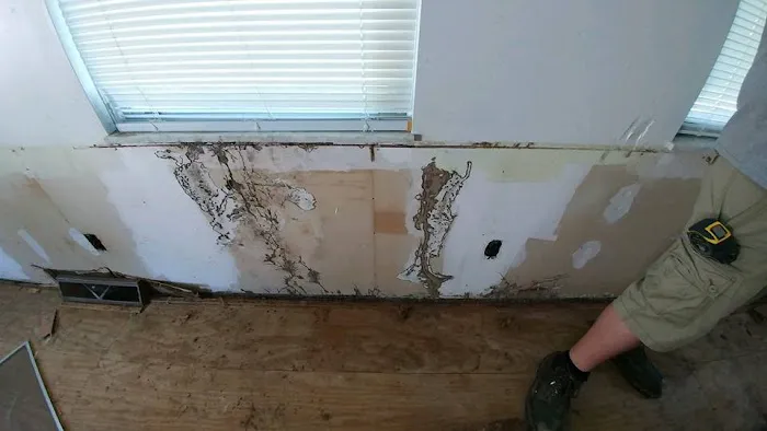 Tri-City Termite and Pest Control Picture 2