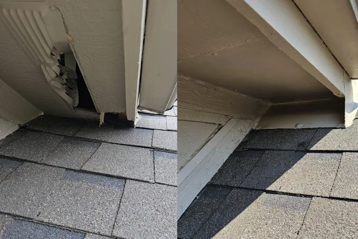 7 Star Animal Control & Repairs LLC Picture 2