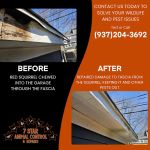 7 Star Animal Control & Repairs LLC