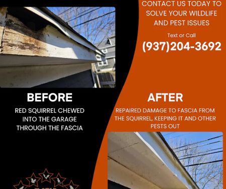 7 Star Animal Control & Repairs LLC