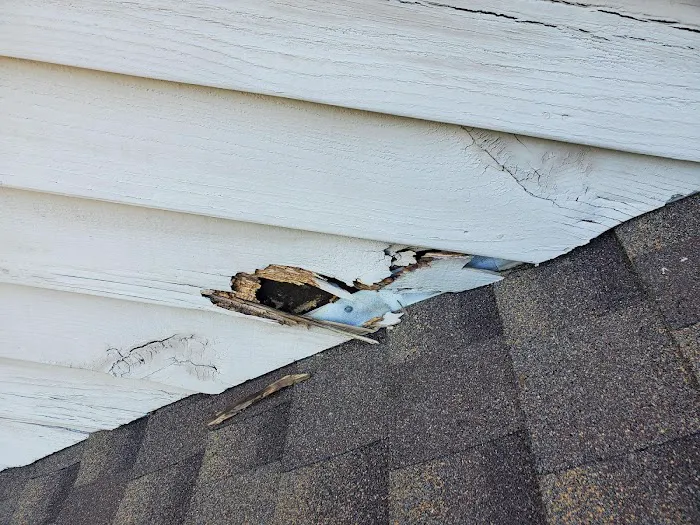 7 Star Animal Control & Repairs LLC Picture 4
