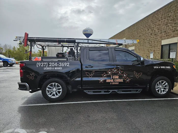7 Star Animal Control & Repairs LLC Picture 6