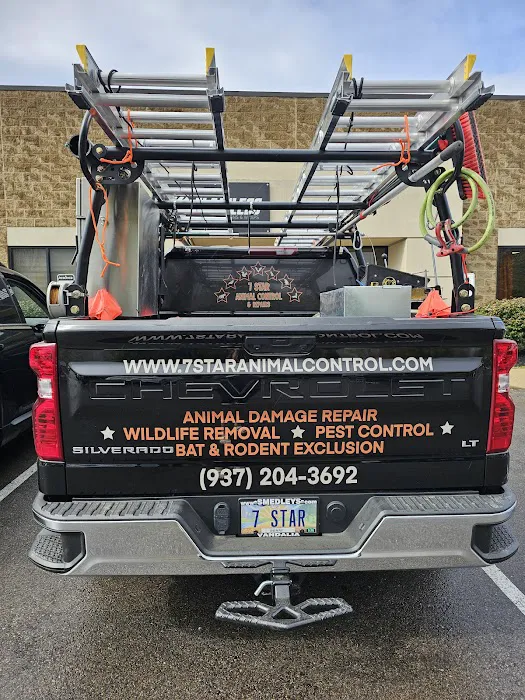 7 Star Animal Control & Repairs LLC Picture 10