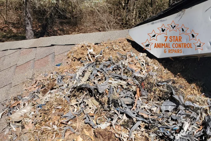 7 Star Animal Control & Repairs LLC Picture 8