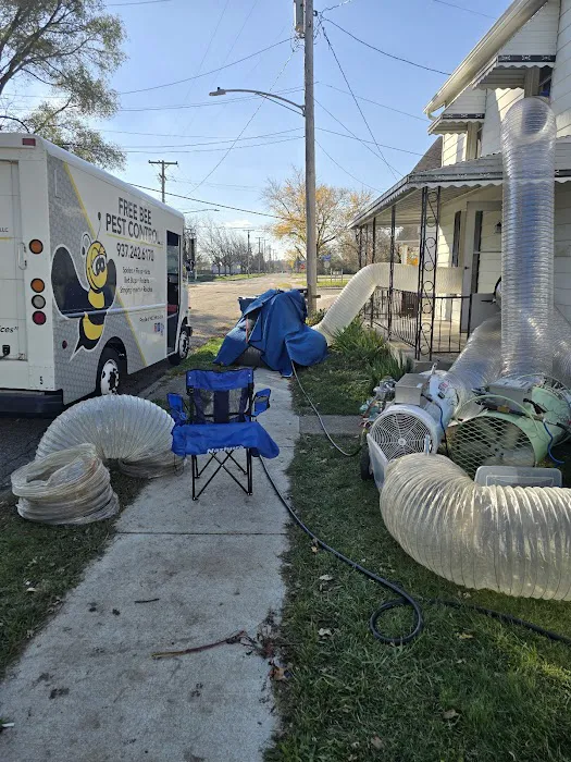 Free Bee Pest Control Picture 7