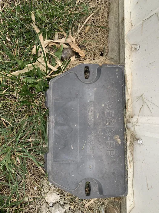 AllPest Pest Control & Wildlife Removal Picture 9