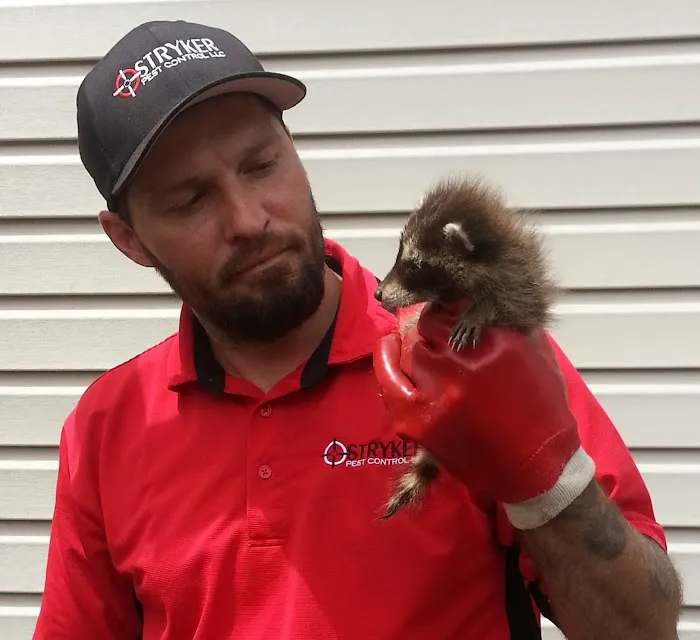 Stryker Pest Control LLC Picture 2