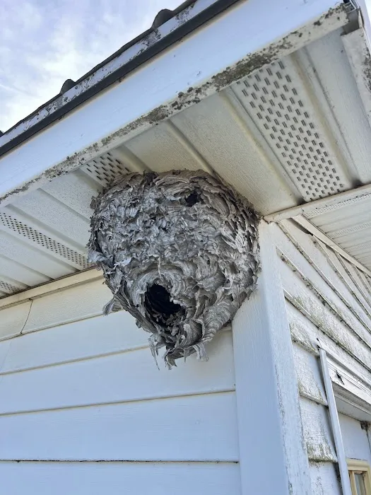ProGuard Pest Control Picture 1
