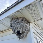 ProGuard Pest Control