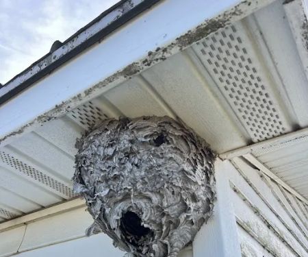 ProGuard Pest Control