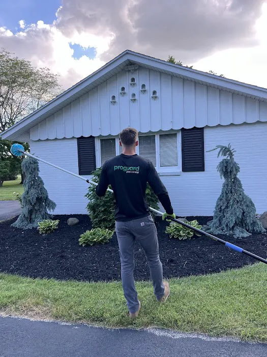 ProGuard Pest Control Picture 8