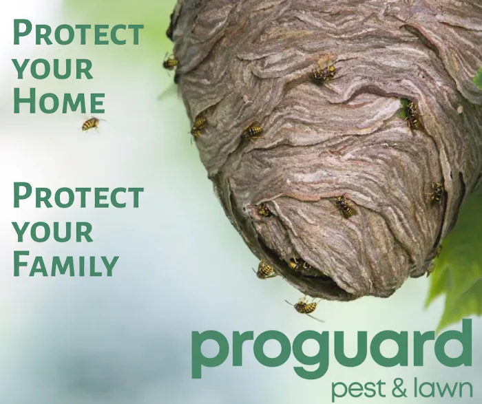 ProGuard Pest Control Picture 3