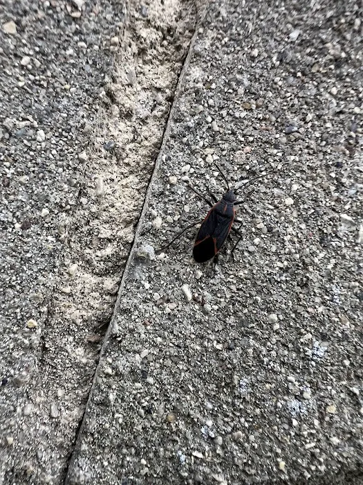 ProGuard Pest Control Picture 5