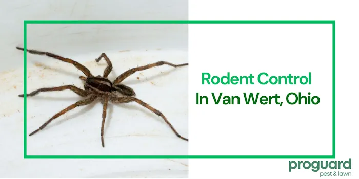 ProGuard Pest Control Picture 7
