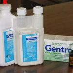 Turner Termite & Pest Control