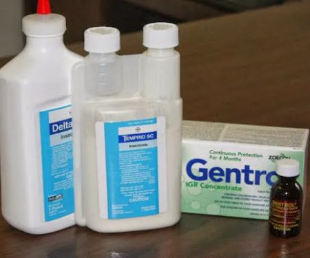 Turner Termite & Pest Control