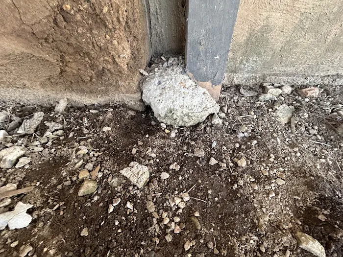 Your Total Pest Control Picture 8