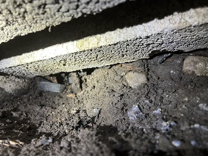 Your Total Pest Control Picture 7