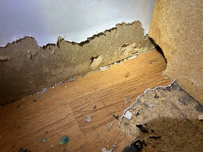Your Total Pest Control Picture 3