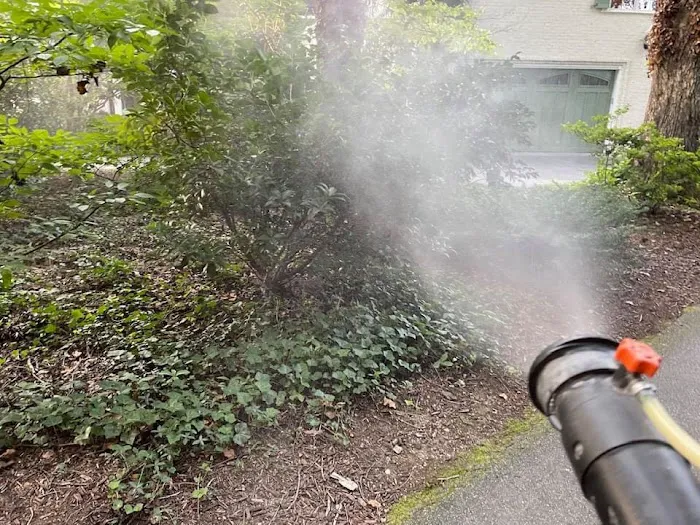 Spray Away Mosquito Control Services Picture 4
