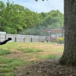Spray Away Mosquito Control Services