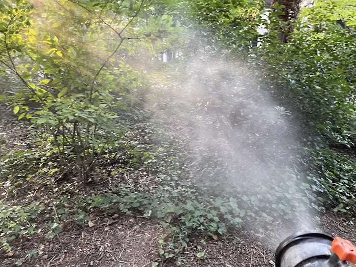 Spray Away Mosquito Control Services Picture 7