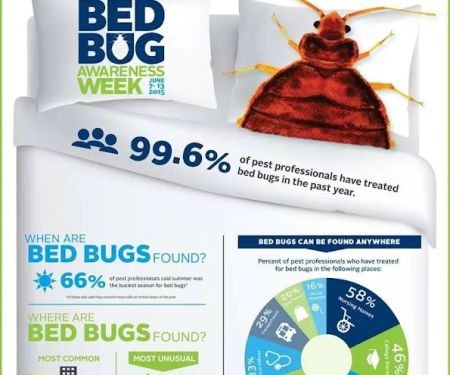 Clearcut Pest Control
