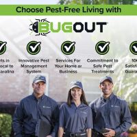 Bug Out ico