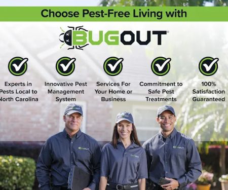 Bug Out