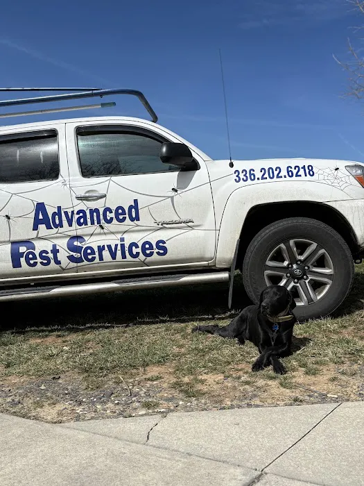 Advanced Pest Services Picture 3