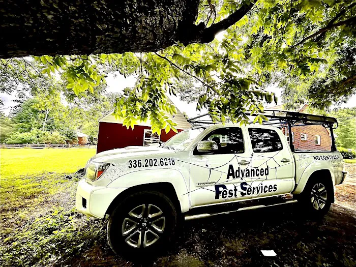 Advanced Pest Services Picture 1