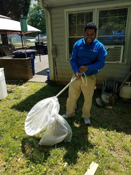 Ray's Pest Control and Wildlife Removal Picture 10