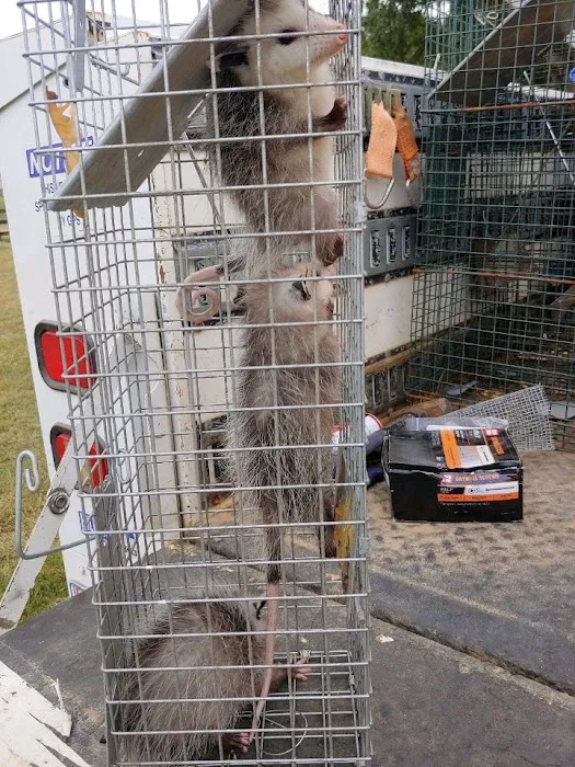 Pest-X Exterminating Picture 1
