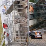 Pest-X Exterminating