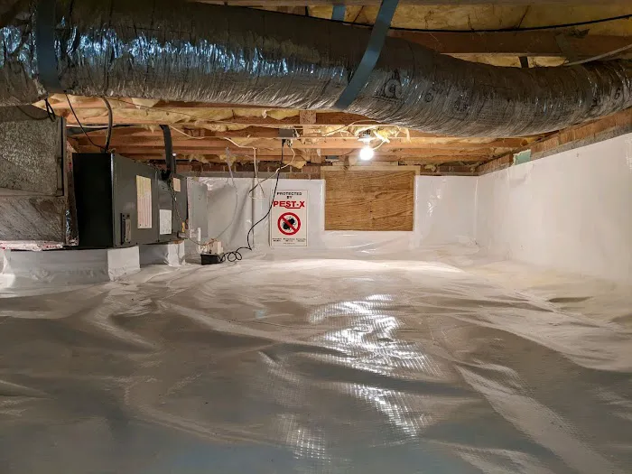 Pest-X Exterminating Picture 9
