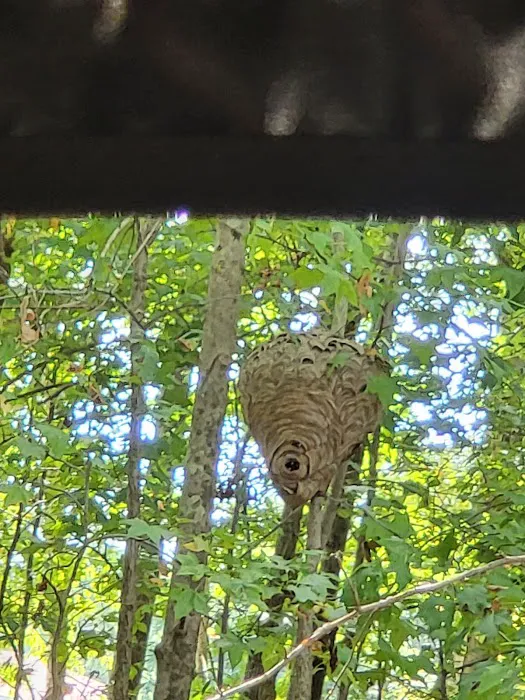 Pest-X Exterminating Picture 5