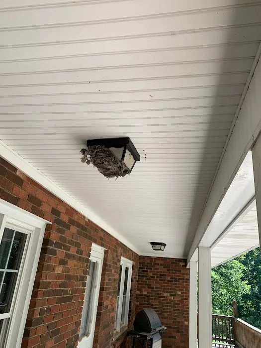 Brewster Pest Control Picture 10