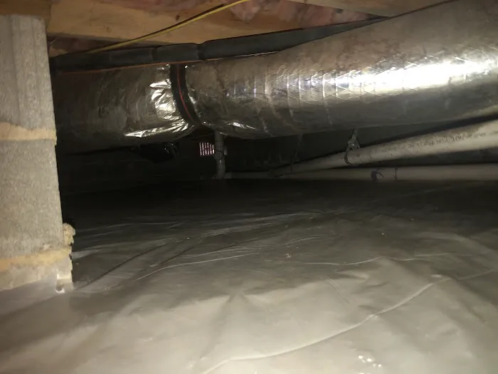 Brewster Pest Control Picture 5