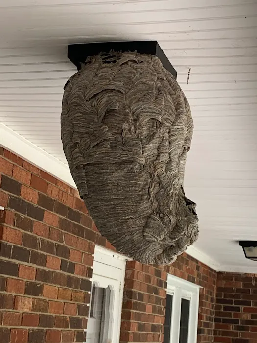 Brewster Pest Control Picture 6