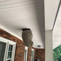 Brewster Pest Control ico