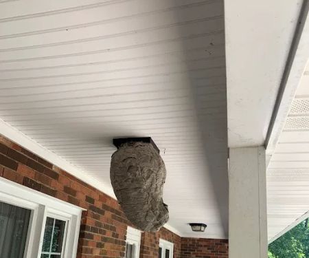 Brewster Pest Control