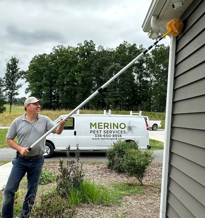 Merino Pest Services Picture 8