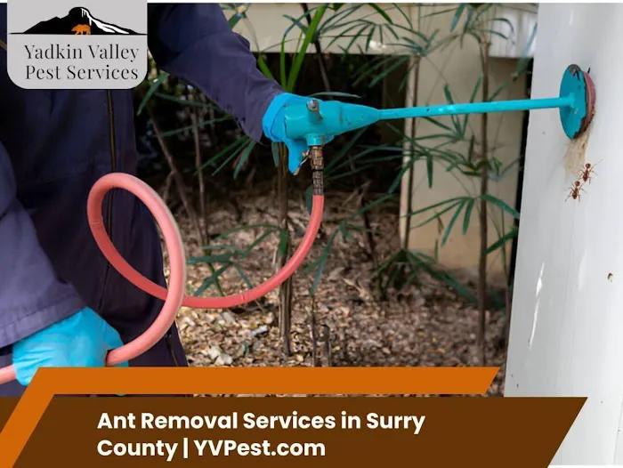 Yadkin Valley Pest Services Picture 9
