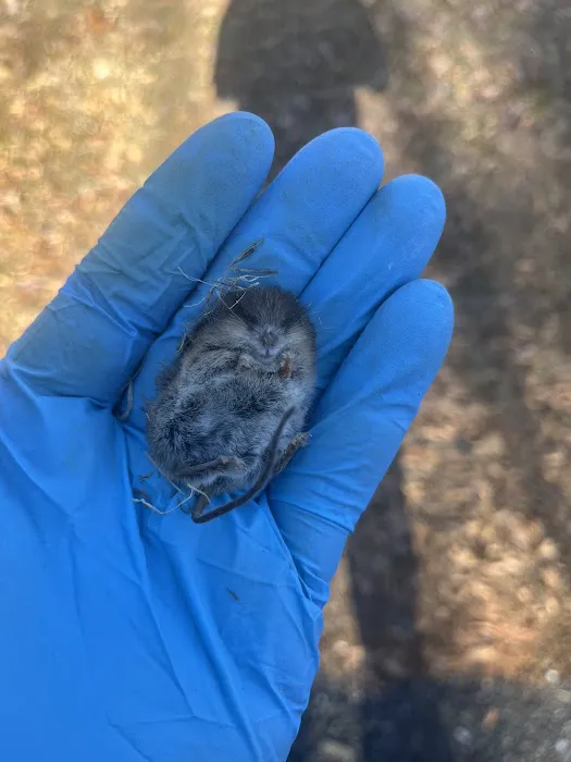 Yadkin Valley Pest Services Picture 5